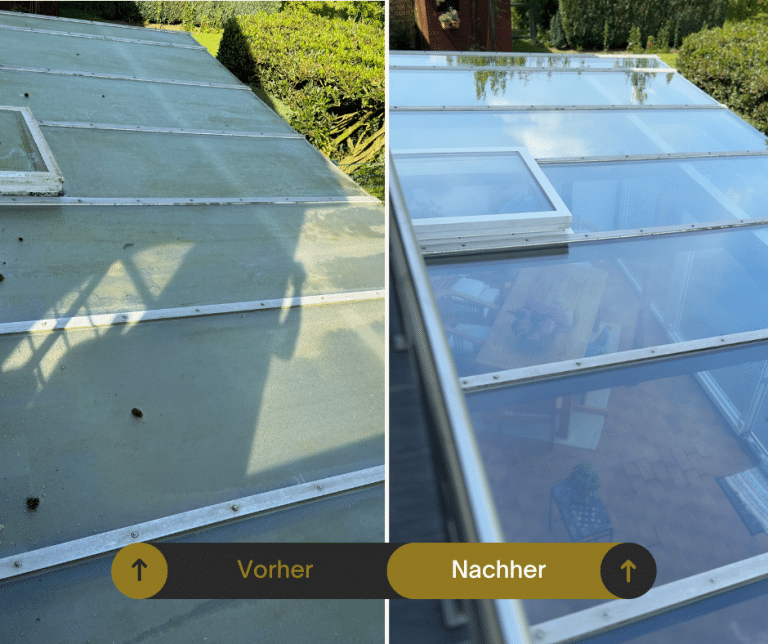 Vorher-Nachher: Reinigung eines Glasdachs – verschmutzte, vermooste Fläche wieder klar und glänzend.