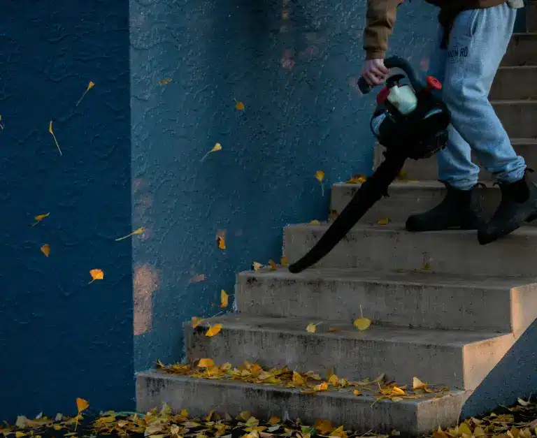 Treppenhausreinigung – Entfernung von Herbstlaub auf Treppen