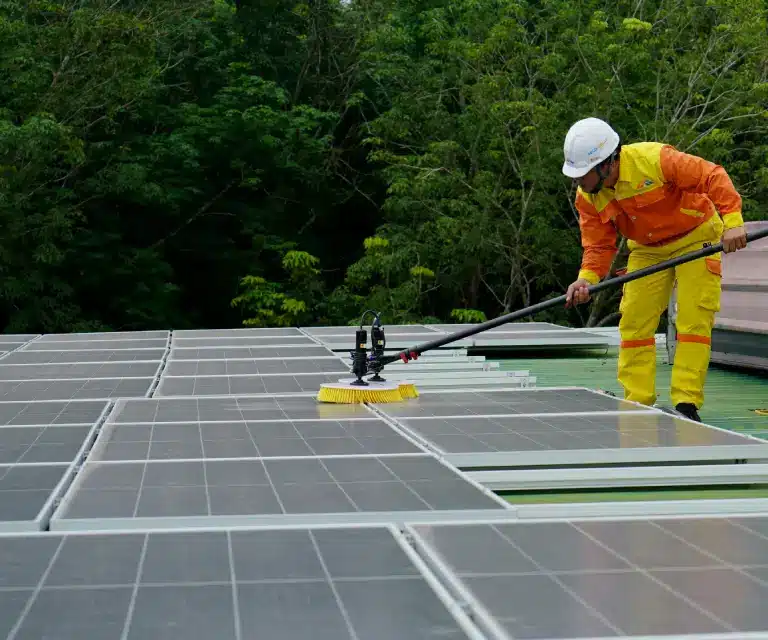 Fachkraft reinigt Photovoltaikanlage professionell